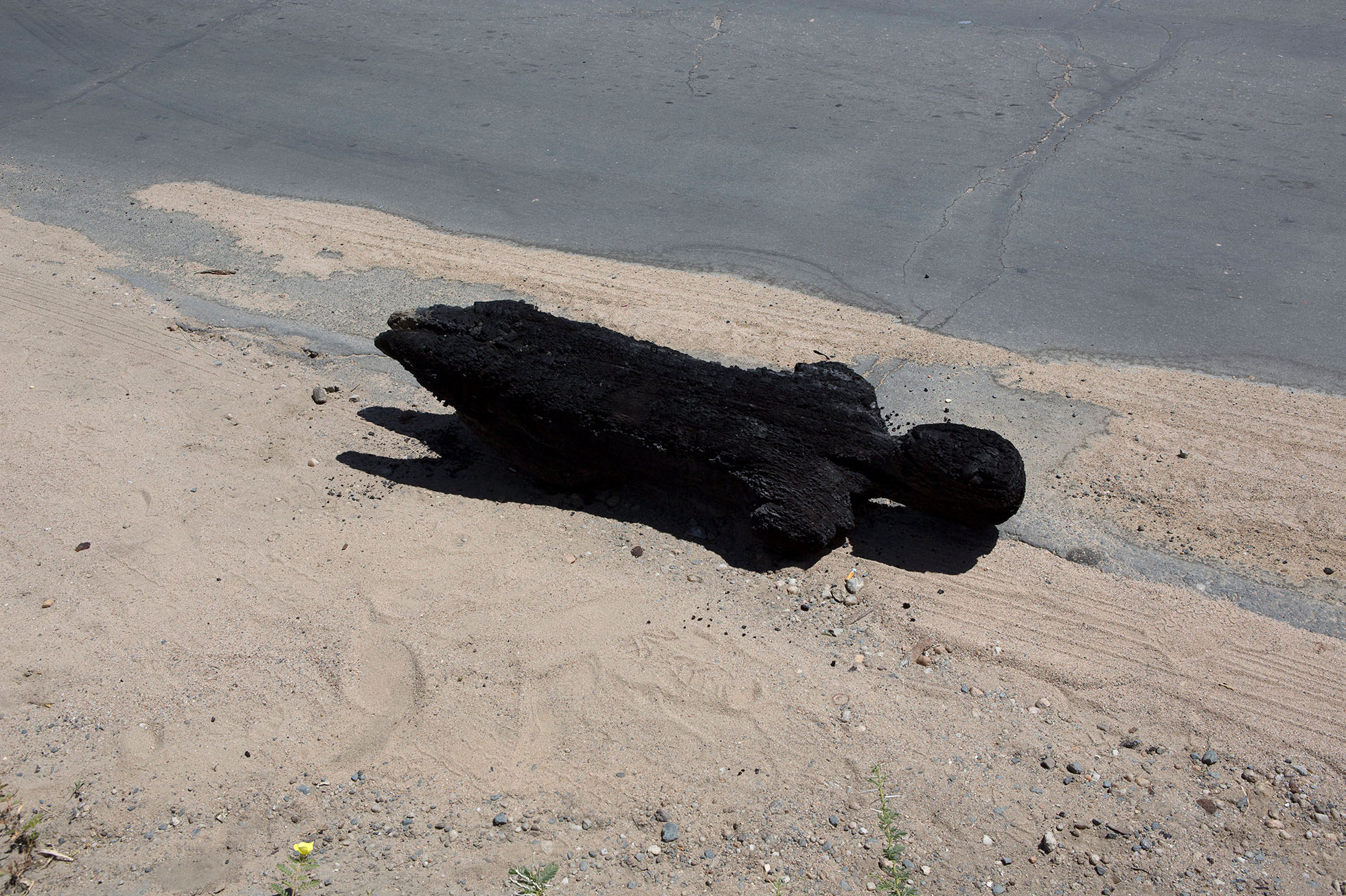 Viviane Sassen: Towards a Dream